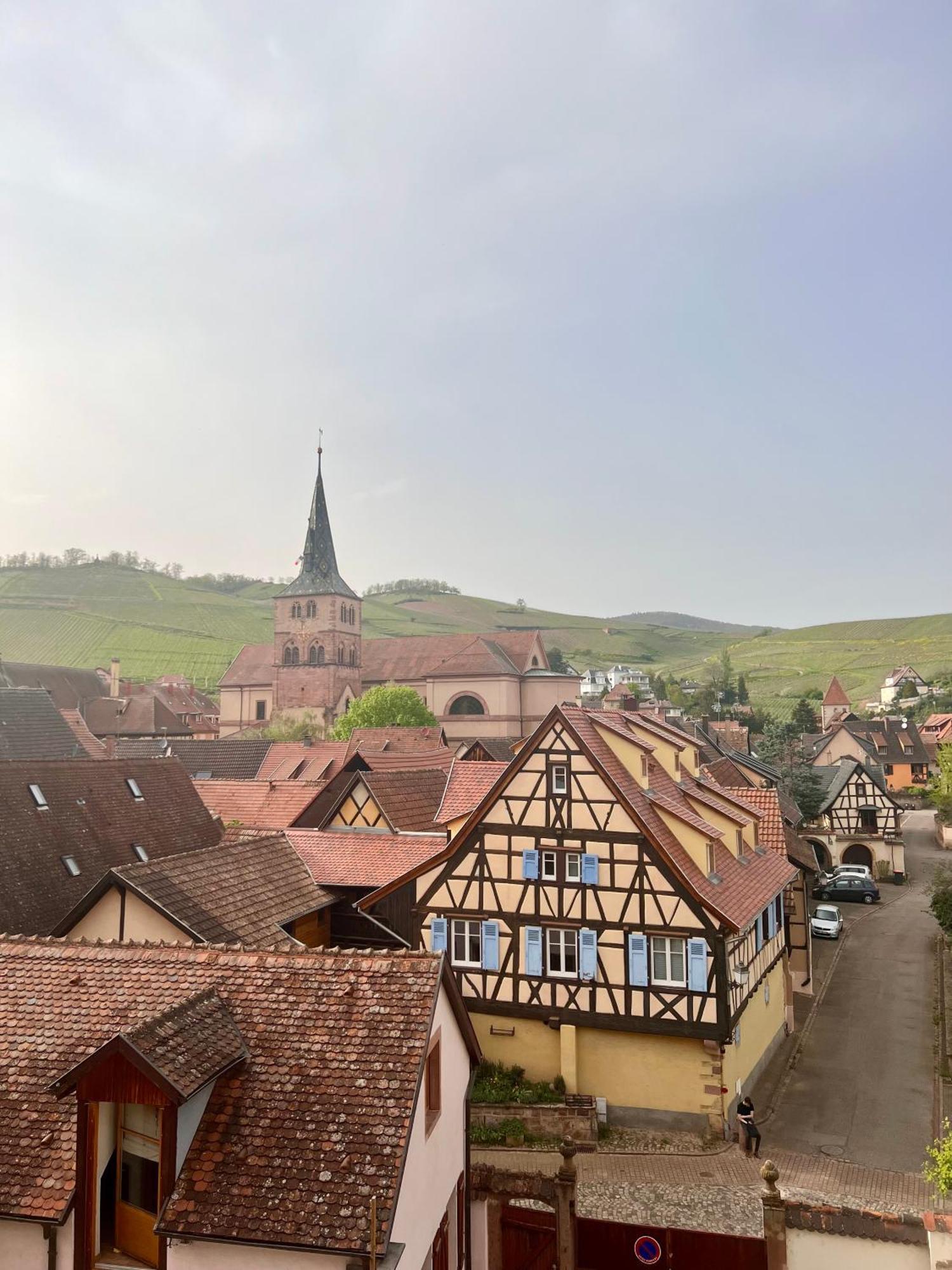 Duplex Au Coeur De Turckheim, 10 Min De Colmar Et Place De Parking Exteriör bild