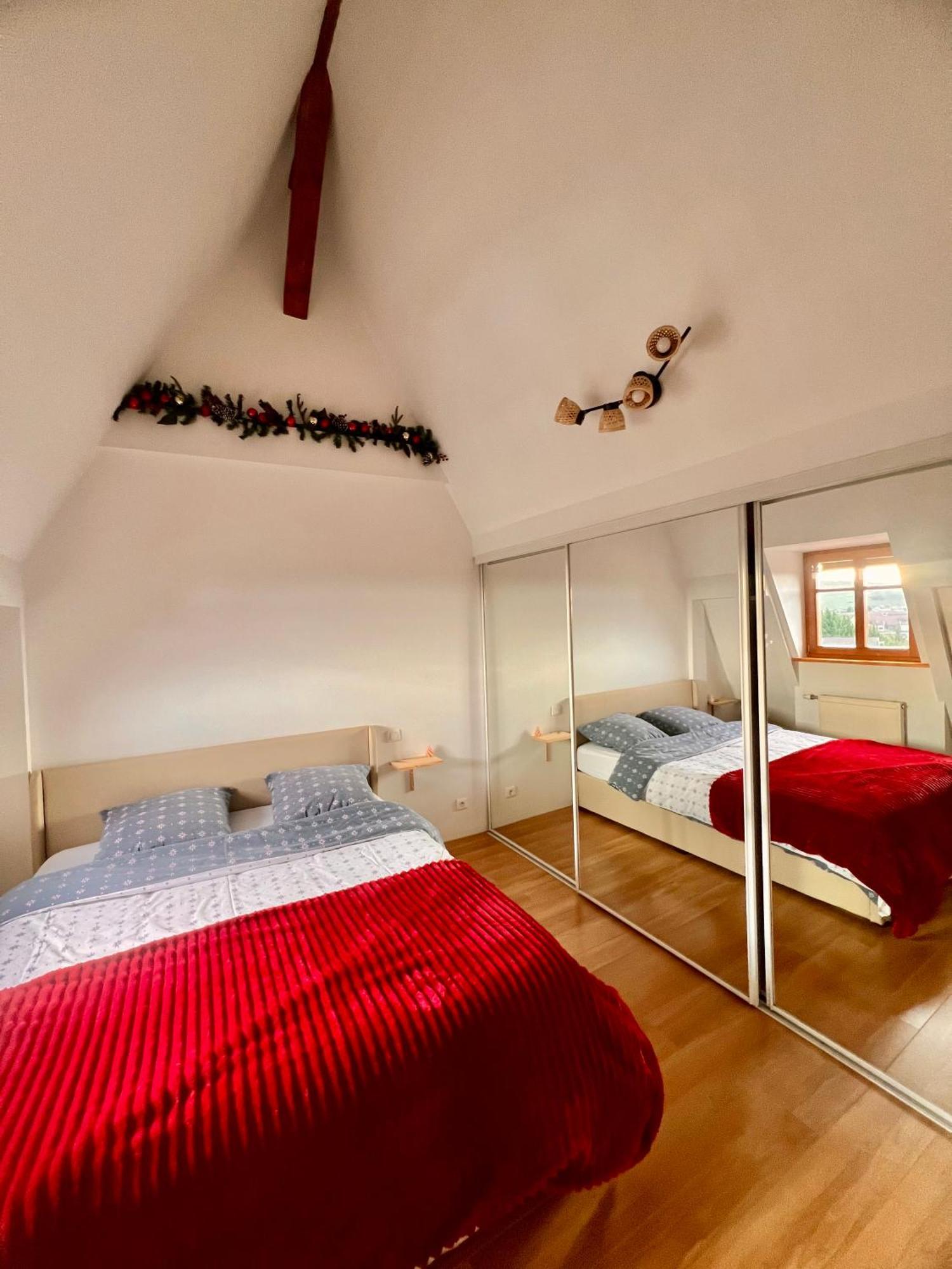 Duplex Au Coeur De Turckheim, 10 Min De Colmar Et Place De Parking Exteriör bild